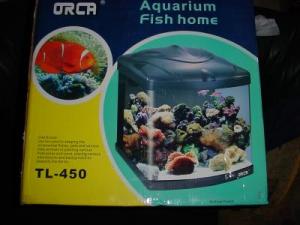 Sea horse aquarium