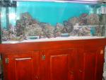Tank 10