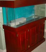 tank 3